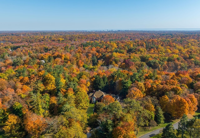 drone / aerial view