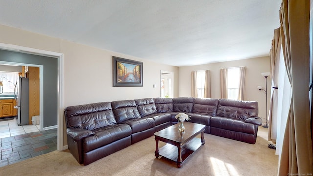 view of carpeted living room