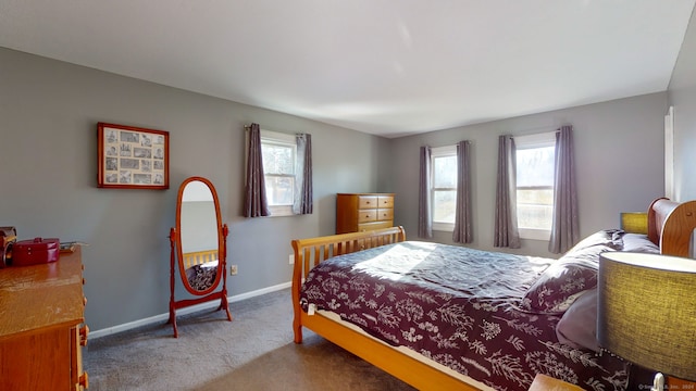 bedroom featuring carpet and multiple windows