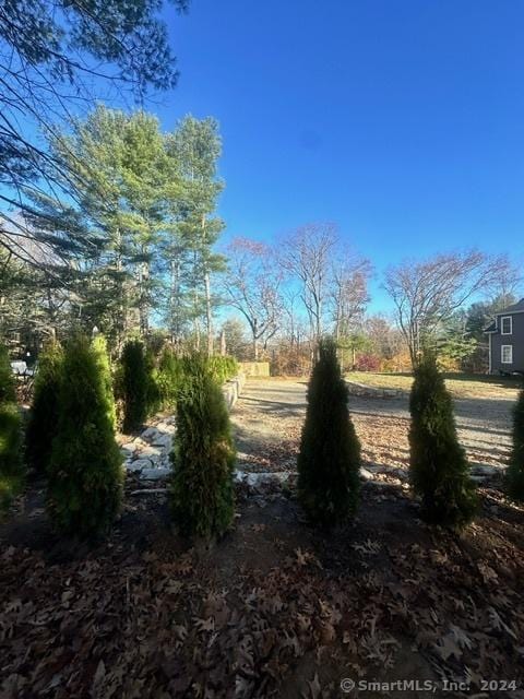 18 Birch Rd, East Haddam, CT 06469 - view of nature