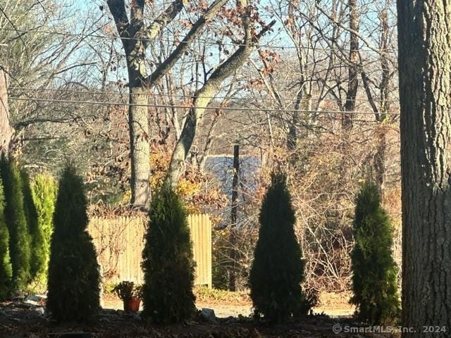 18 Birch Rd, East Haddam, CT 06469 - view of nature