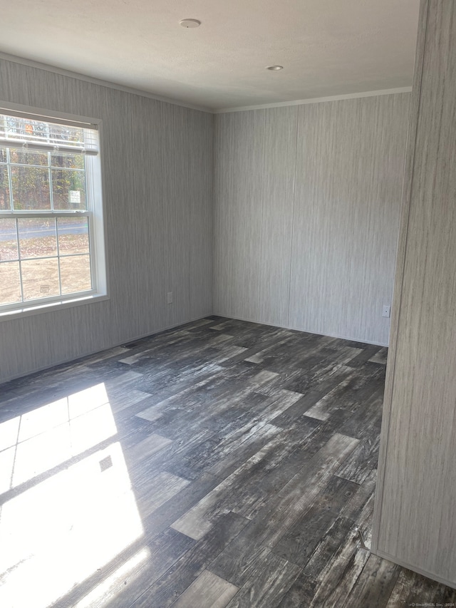 empty room with dark hardwood / wood-style flooring