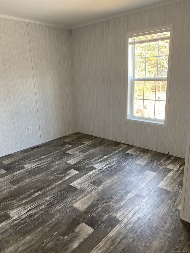 unfurnished room featuring dark wood-type flooring and a healthy amount of sunlight