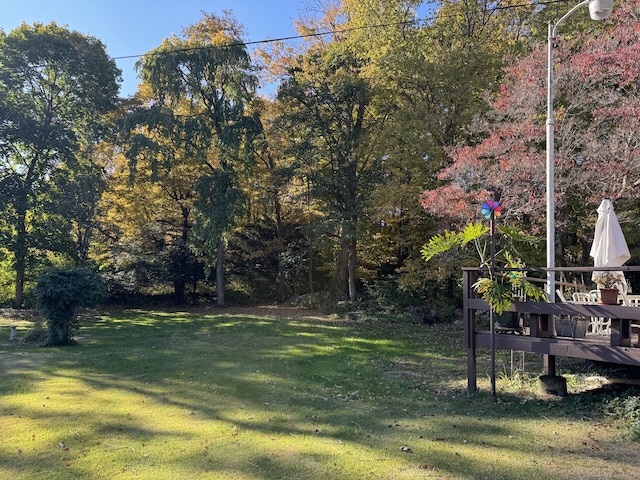 view of yard featuring a wooden deck