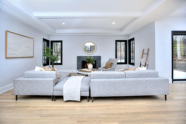 living room with light hardwood / wood-style floors