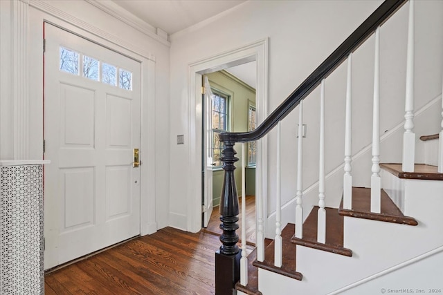 entrance foyer featuring dark wood-type flooring