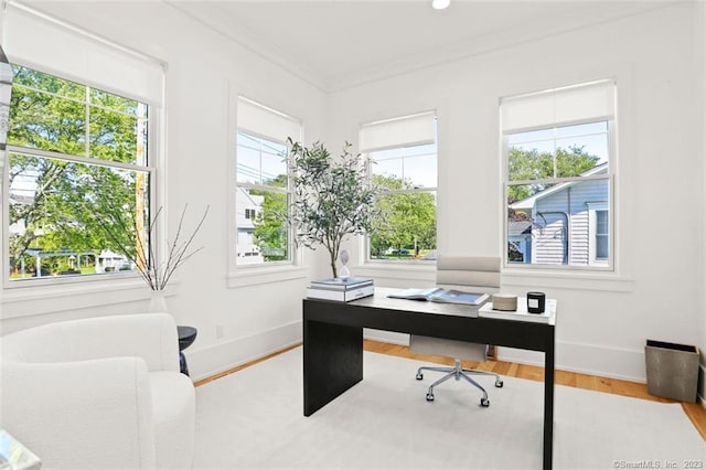 office space featuring ornamental molding, a wealth of natural light, and wood-type flooring