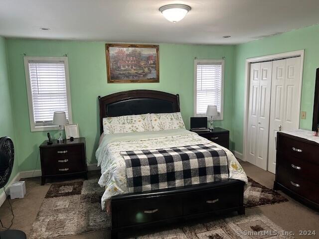 carpeted bedroom with a closet and multiple windows