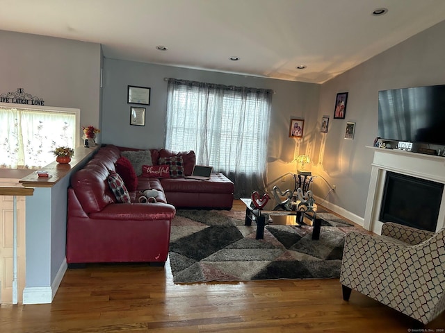 living room with hardwood / wood-style floors and lofted ceiling