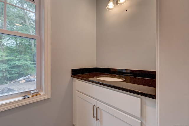 bathroom with vanity and a wealth of natural light