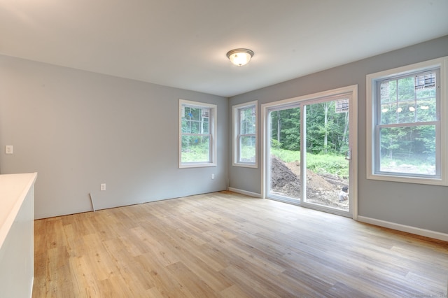 interior space featuring light hardwood / wood-style flooring and plenty of natural light