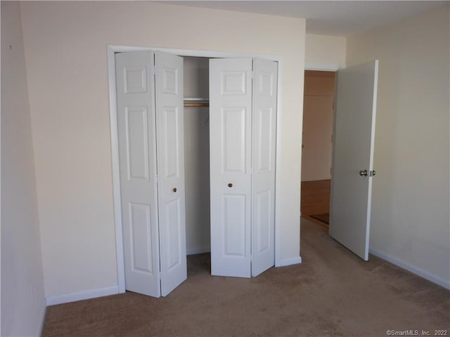 interior space featuring carpet flooring and a closet