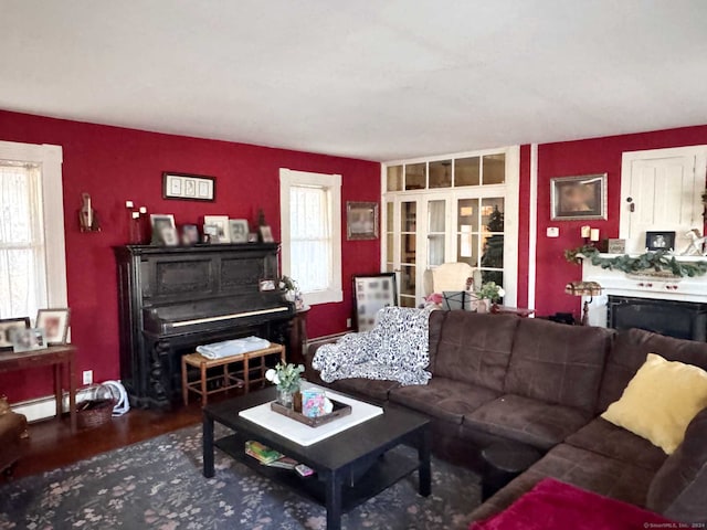 living room with a wealth of natural light, hardwood / wood-style floors, and a baseboard radiator