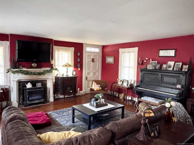 living room featuring a fireplace, wood-type flooring, and a healthy amount of sunlight