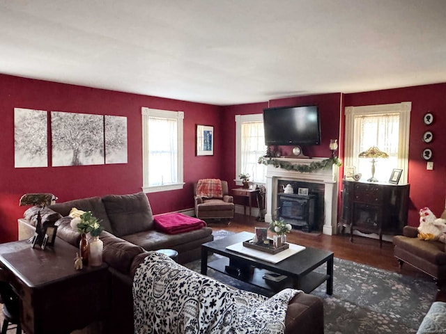 living room with hardwood / wood-style flooring and a wealth of natural light