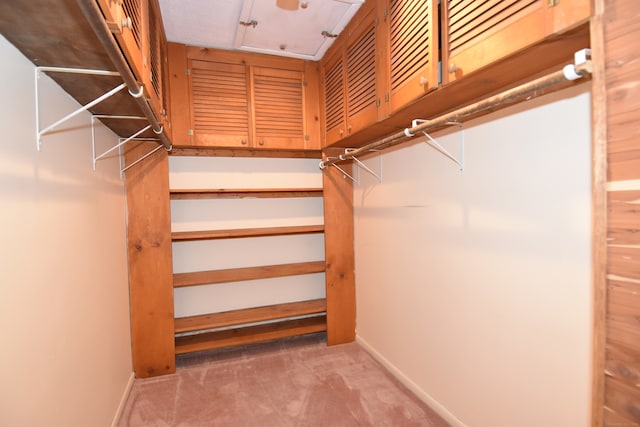 walk in closet with carpet flooring