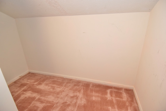 carpeted spare room with a textured ceiling