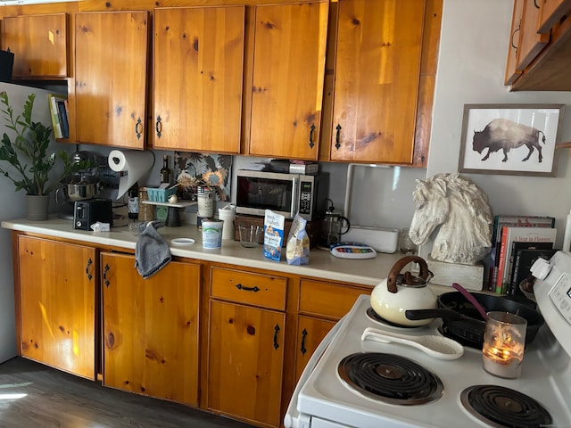 kitchen with white range oven and dark hardwood / wood-style floors