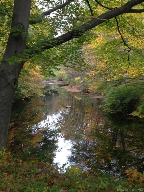 87 Red Coat Rd, Westport, CT 06880 - water view with a forest