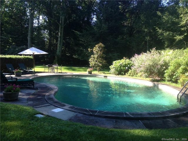 87 Red Coat Rd, Westport, CT 06880 - swimming pool with a lawn, a patio, and a wooded view