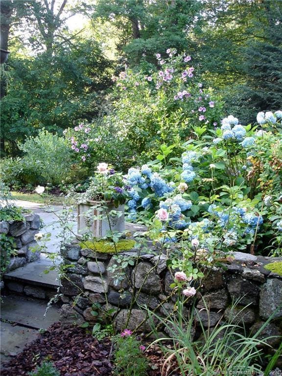 87 Red Coat Rd, Westport, CT 06880 - view of local wilderness
