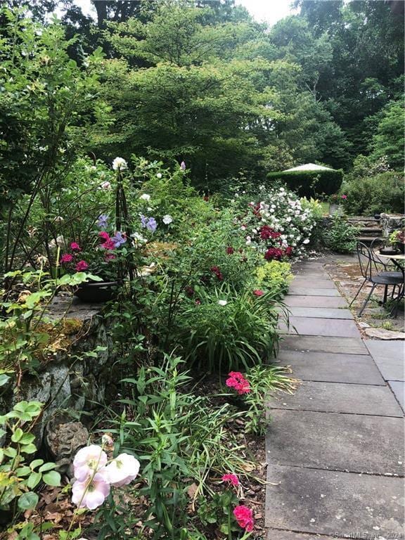 87 Red Coat Rd, Westport, CT 06880 - view of yard