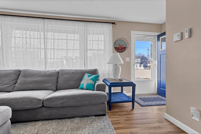 living room featuring light hardwood / wood-style flooring