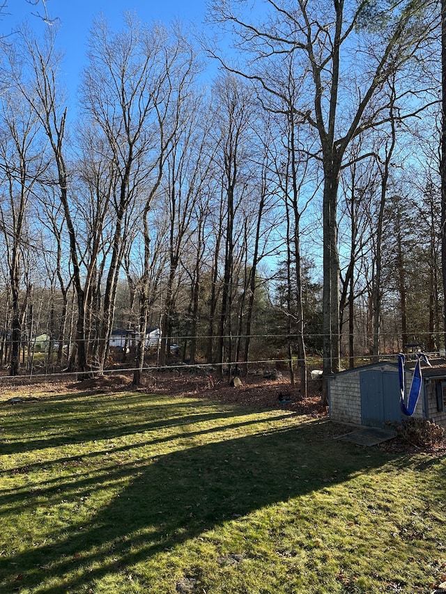 view of yard with a shed