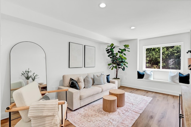 living room with wood-type flooring