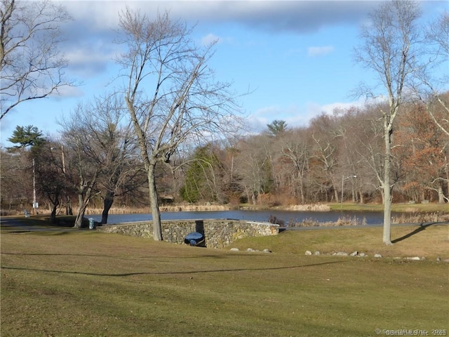 exterior space with a lawn and a water view