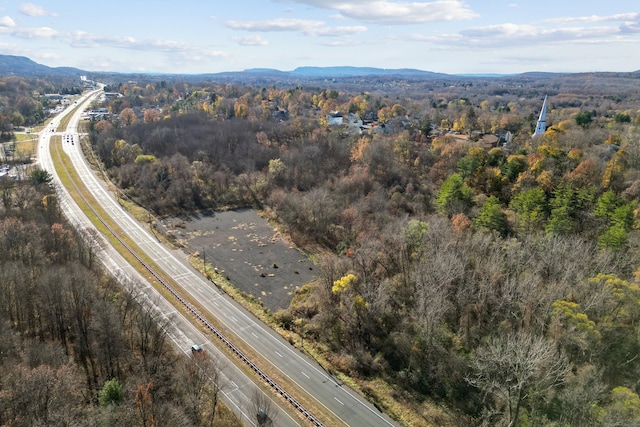 1162 Berlin Tpke, Berlin, CT 06037 - photo 5