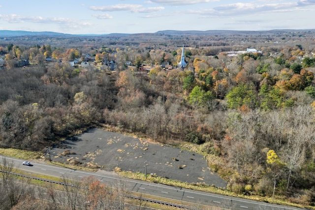1162 Berlin Tpke, Berlin, CT 06037 - photo 6