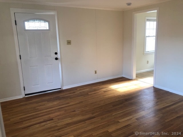 foyer entrance featuring dark hardwood / wood-style flooring, a wealth of natural light, and crown molding