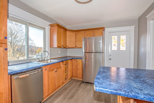 kitchen featuring plenty of natural light, light hardwood / wood-style floors, sink, and stainless steel appliances