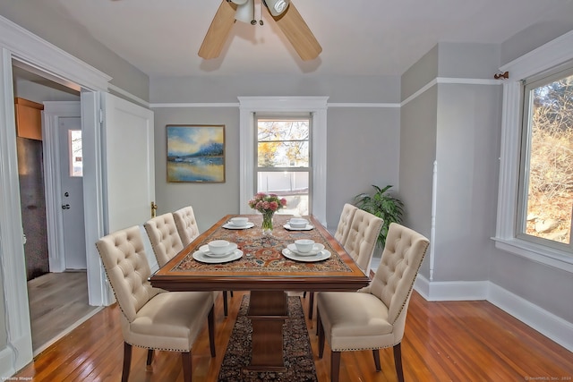 dining room with a healthy amount of sunlight, ceiling fan, and wood-type flooring