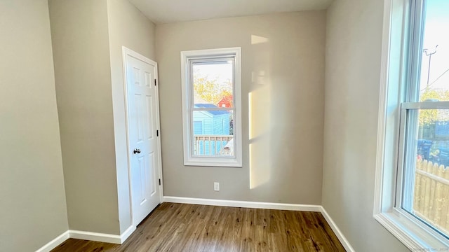 doorway to outside featuring wood-type flooring