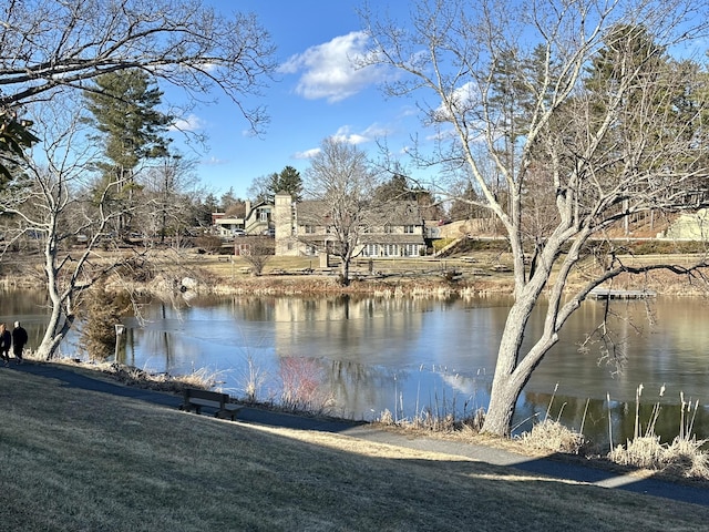 view of water feature