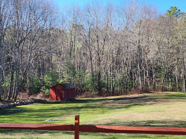 view of yard featuring a storage shed