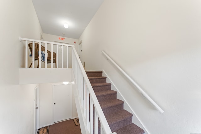 staircase with carpet flooring