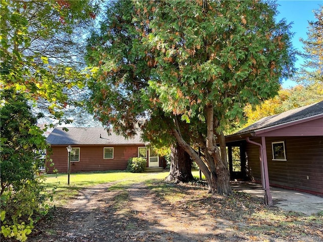 view of yard with a patio area