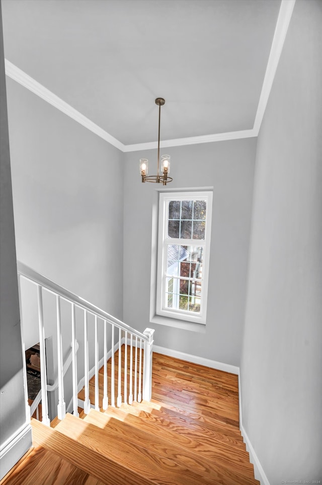 staircase featuring hardwood / wood-style flooring, crown molding, and an inviting chandelier