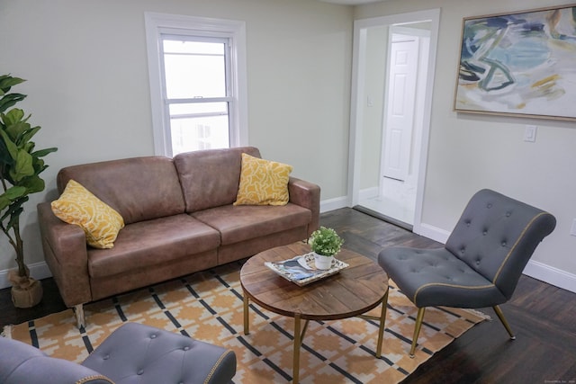 living room with hardwood / wood-style flooring