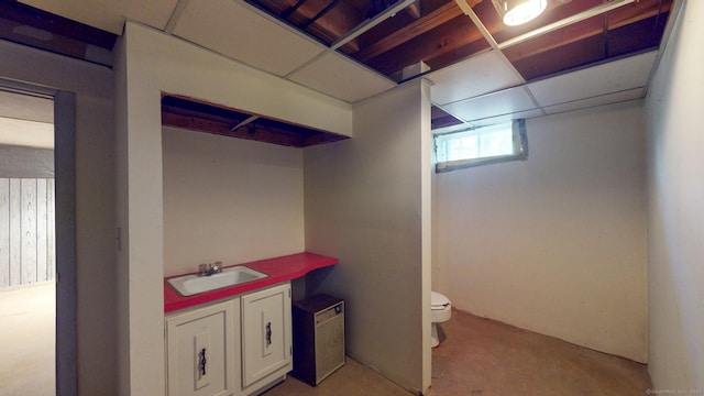 basement with sink