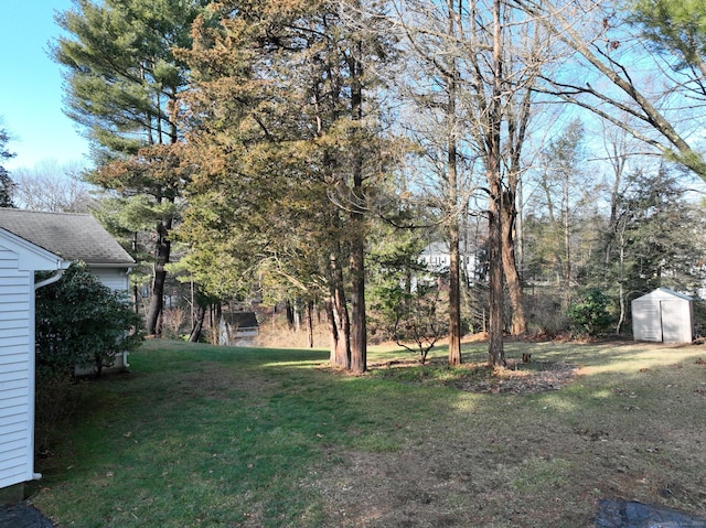 view of yard featuring a storage unit