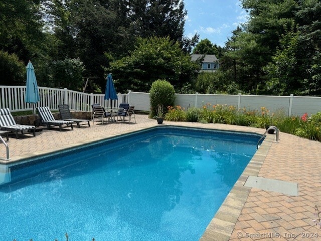 view of pool featuring a patio area