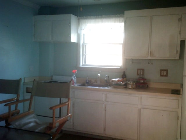 kitchen with white cabinets and sink