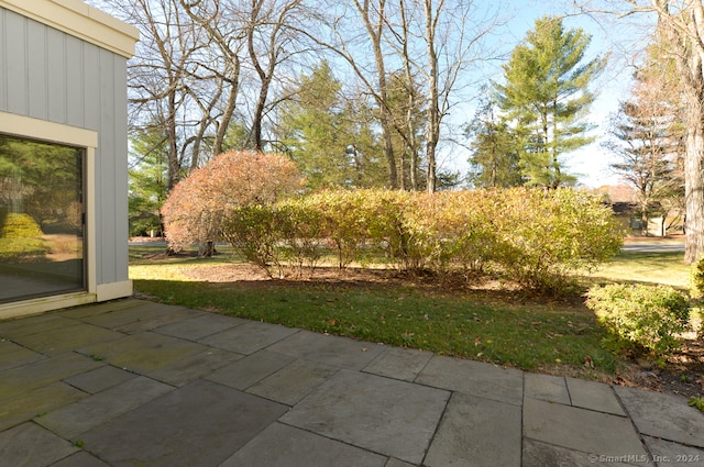 view of yard with a patio