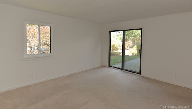 carpeted empty room featuring a wealth of natural light and crown molding