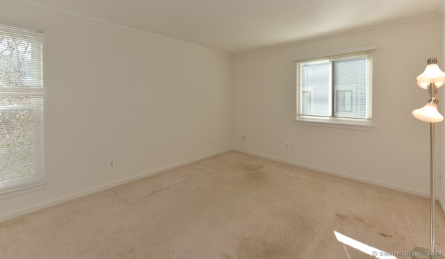 unfurnished room with light colored carpet and ornamental molding