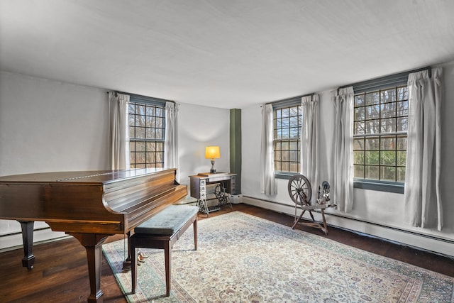 miscellaneous room featuring baseboard heating and dark wood-type flooring